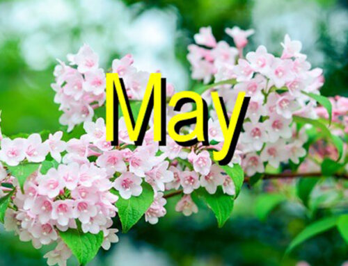 Things to do in May